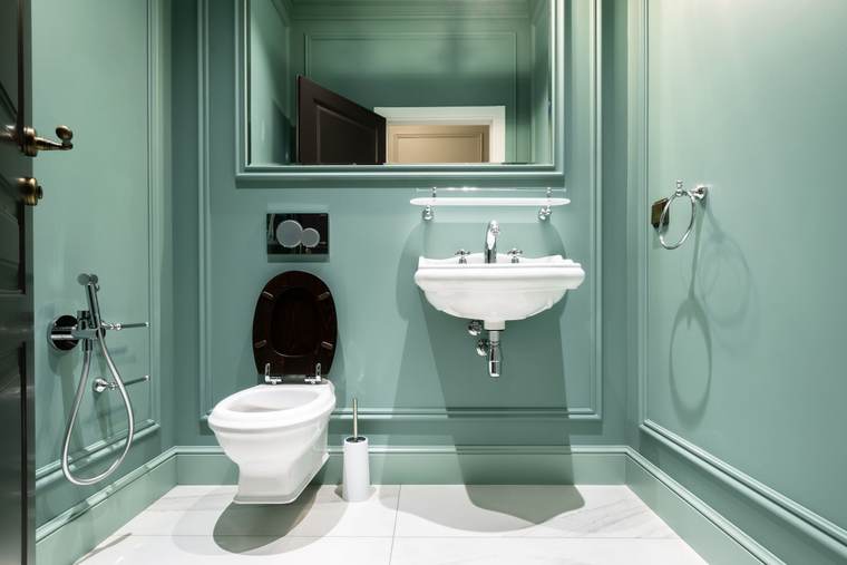 Powder room with green paneled walls, a wall-hung toilet and a small sink